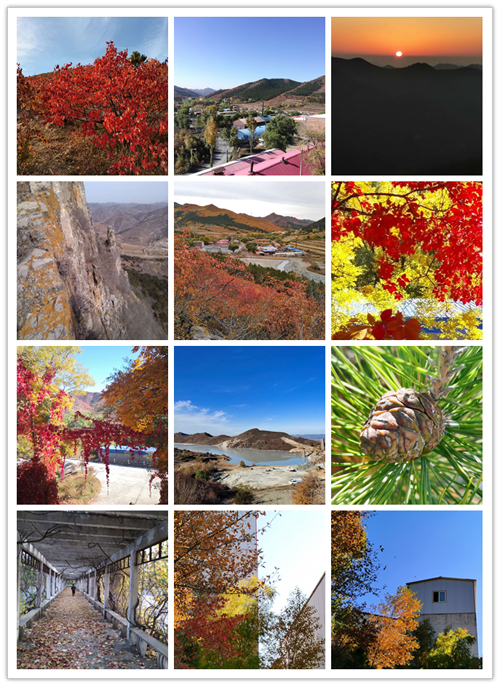 新华钼业“爱在金秋 美在新华”摄影摄像比赛圆满结束(图1)