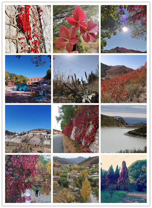 新华钼业“爱在金秋 美在新华”摄影摄像比赛圆满结束(图2)