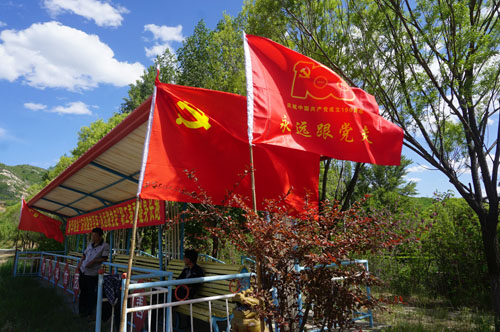 新华钼业开展“庆祝建党百年 永远跟党走”职工长跑比赛活动(图1)