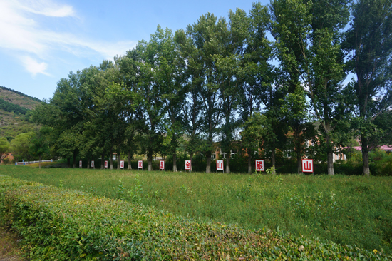 持续绿色矿山建设中的新华钼业 越来越美(图12)
