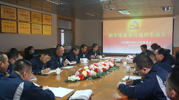 新华钼业党委组织召开党员组织生活会(图5)