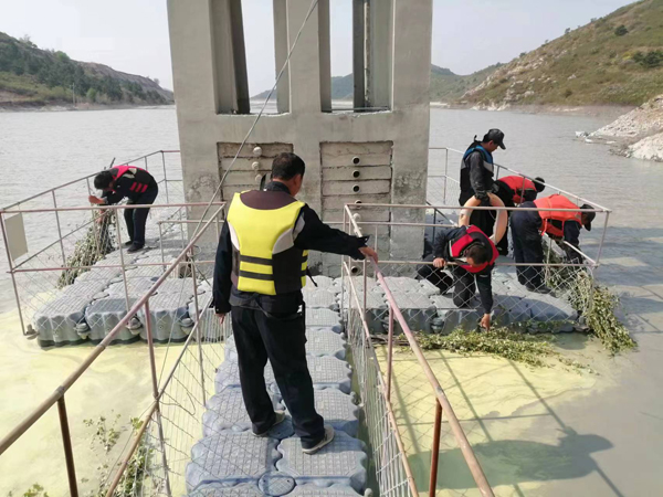 新华钼业2023年尾矿库综合应急救援演练圆满成功(图19) 2-2305160Z559614.jpg